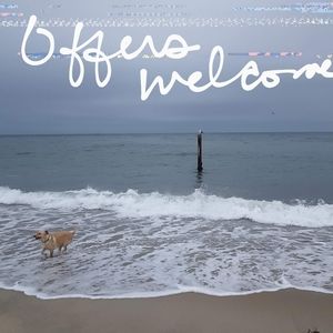 Shoes, clothing, bags. (🐕dog NOT for sale!!!)🙂